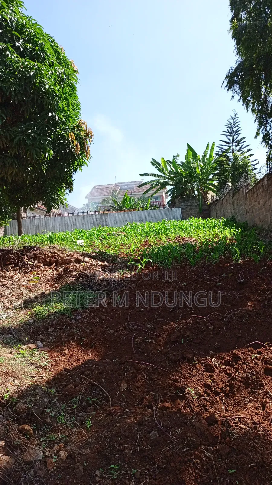 Prime Commercial Plot 1/4 Acre, Kiamumbi