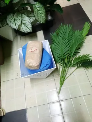 Palm 80cm With Vase and Pebble Stones
