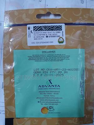 Collards Sukuma Wiki - thumbnail 2