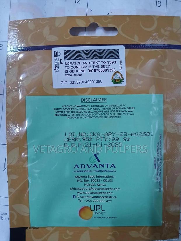 Collards Sukuma Wiki - main view