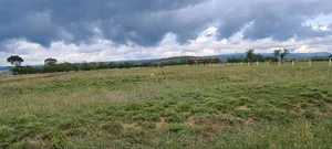 Book a Site Visit to Longonot View Phase 4 ,50 by 100 ,