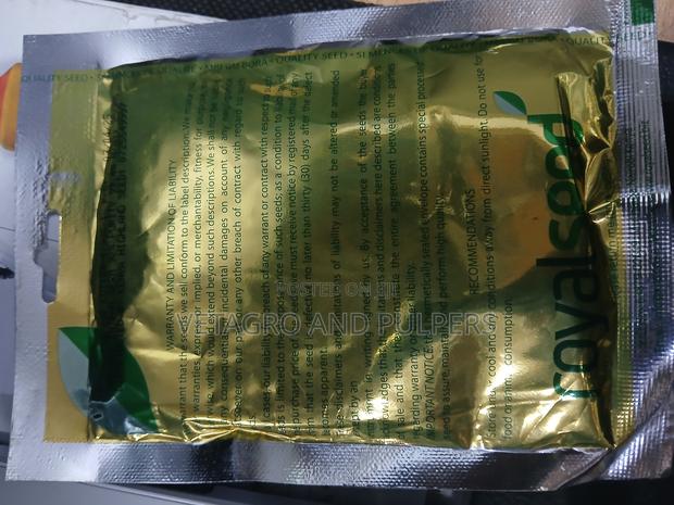 Coriander (Dhania) - main view