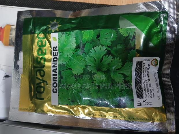 Coriander (Dhania) - thumbnail 2