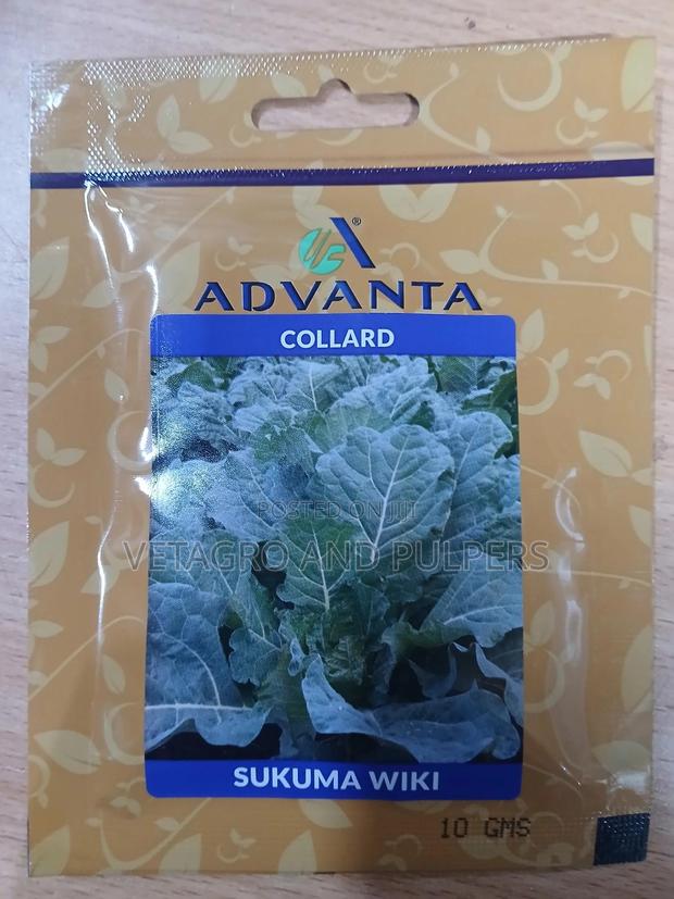 Collards Sukuma Wiki - thumbnail 3