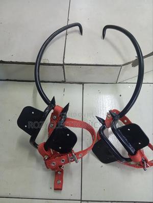 Wooden Pole Climbers - main view