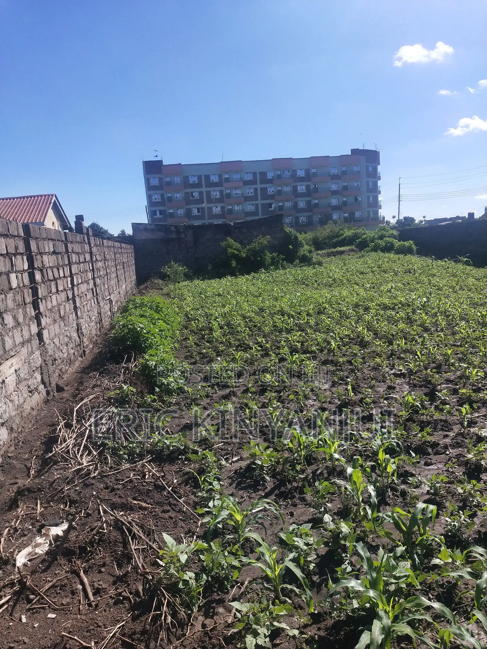 Prime 100x100 Plot for Sale – Kiganjo, Thika