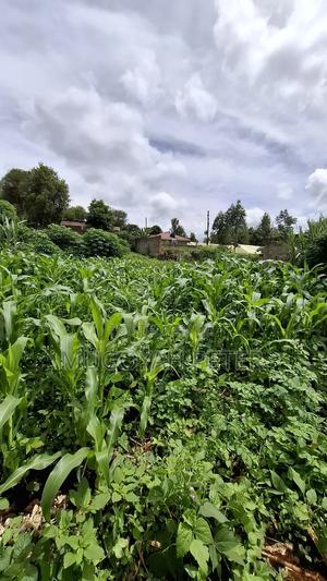 Prime Piece of Land for Sale
