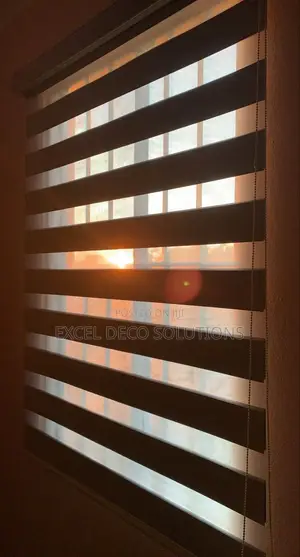 Statement Windows Start With Zebra Blinds