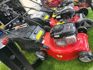 6hp Self Propelled Lawnmower