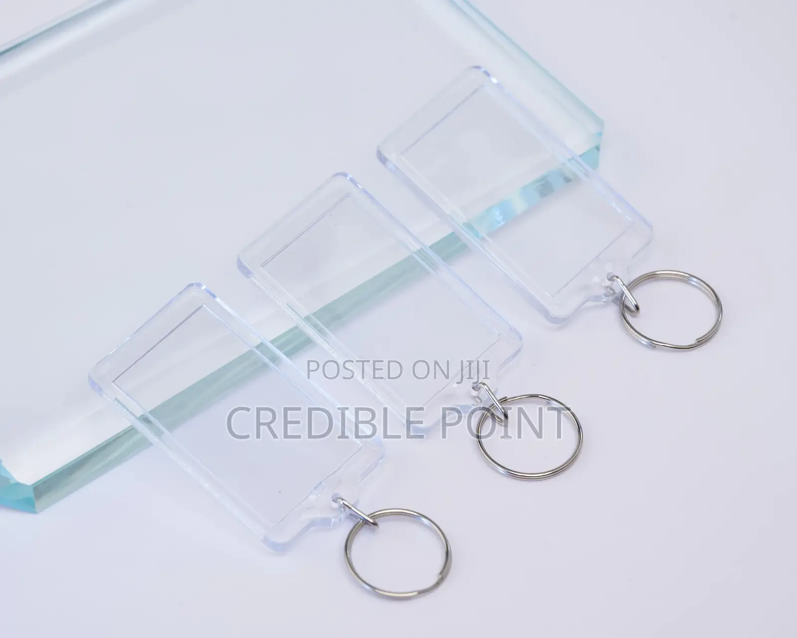 Clear Plastic Keyholders