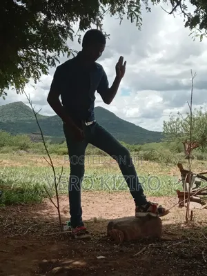 Video and Dance