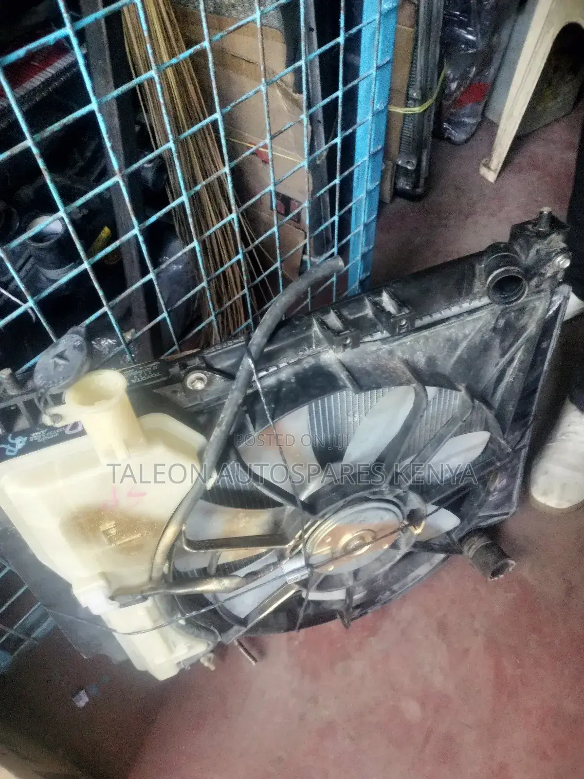 Probox Radiator