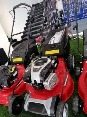 161cc Briggs.Stratton Mower