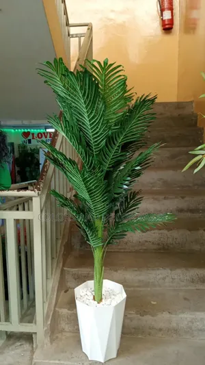 Palm Tree and White Plastic Vase