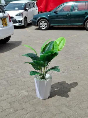 White Vase With Banana Plant
