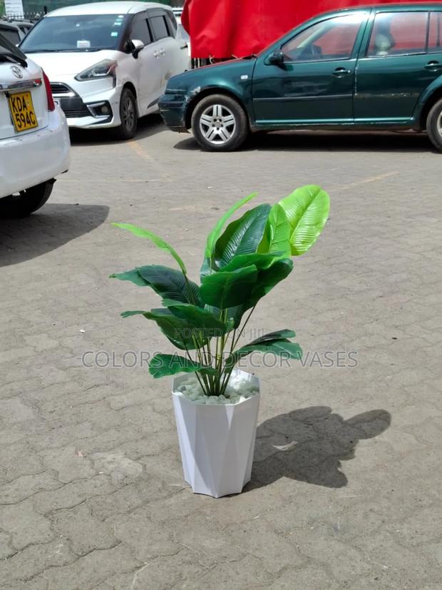 White Vase With Banana Plant - main view