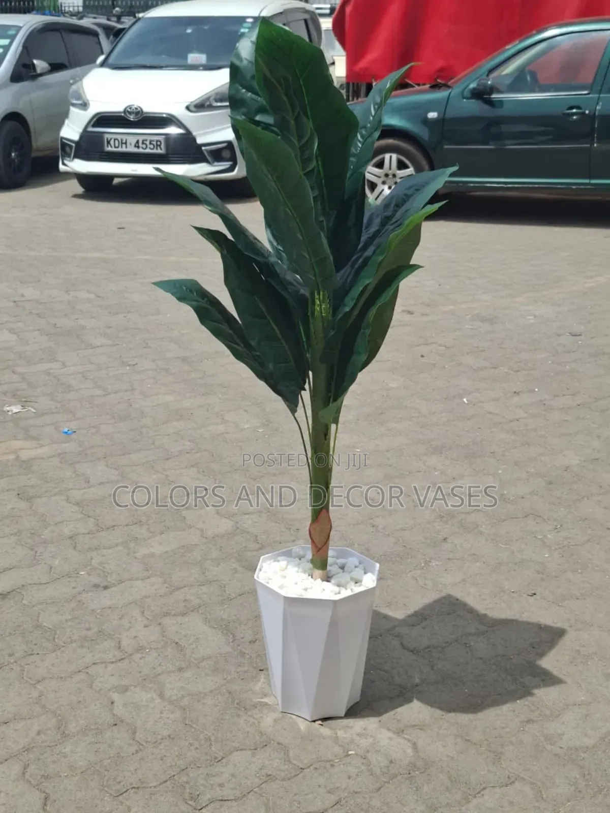 Corner Plant 1.2m With Vase