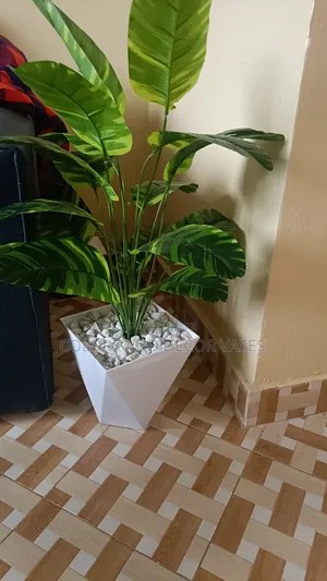 Banana Stripped in Vase Plus Decorative Stones