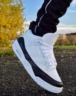 Jordan 3 Fragment 