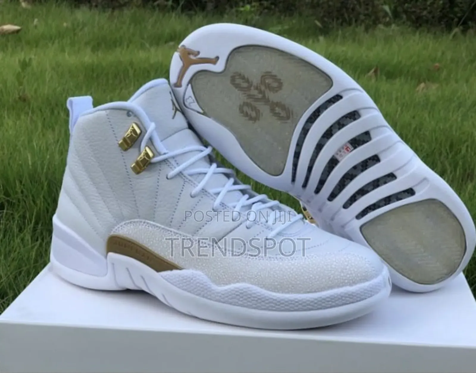 *Jordan 12 Ovo