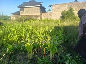 40 by 70 Plot for Sale in Witeithie,Malaba Varsity Aim