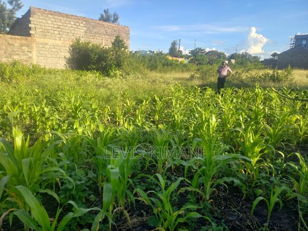 40 by 70 Plot for Sale in Witeithie,Malaba Varsity Aim - thumbnail 4