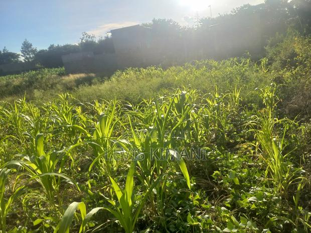 40 by 70 Plot for Sale in Witeithie,Malaba Varsity Aim - thumbnail 8