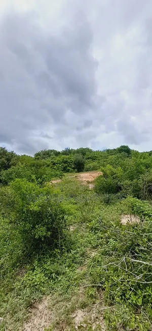 For Sale 18.5 Acres Land Marafa.