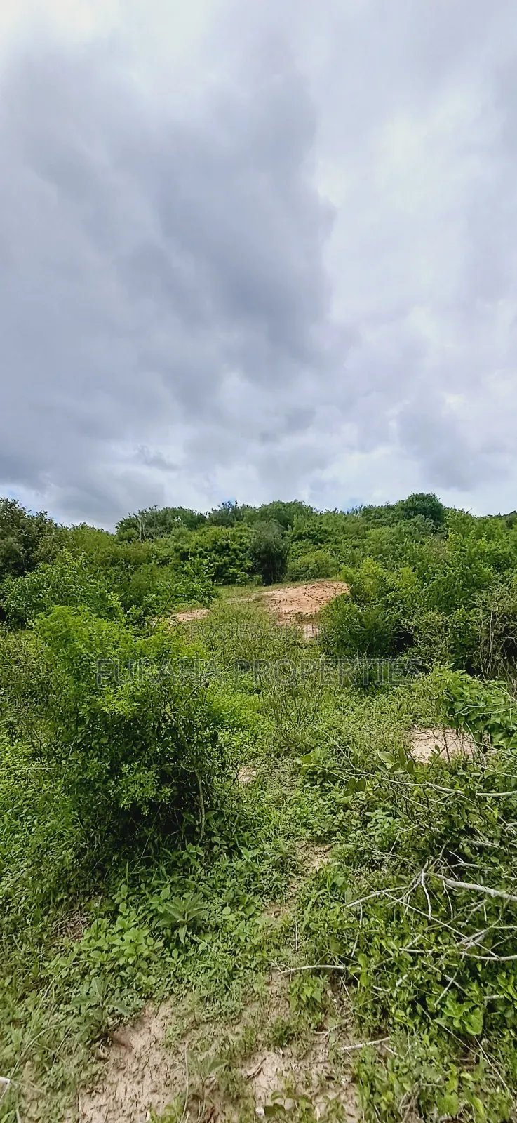 For Sale 18.5 Acres Land Marafa.