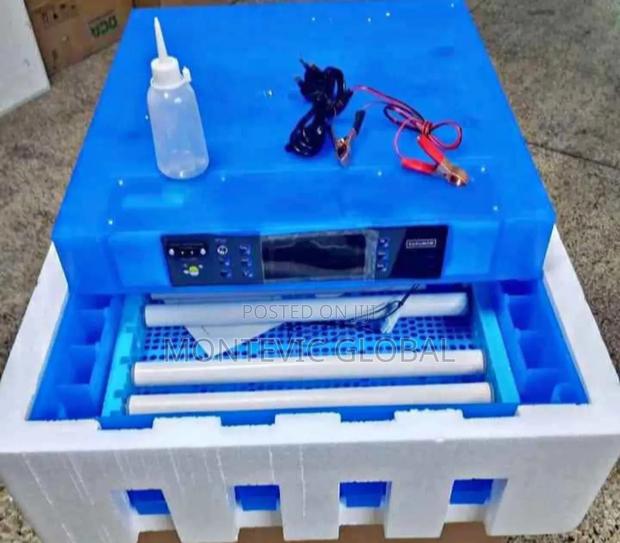 64eggs Incubator - main view