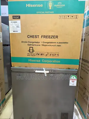 Hisense 198 L Freezer (Grey) Fc198sh