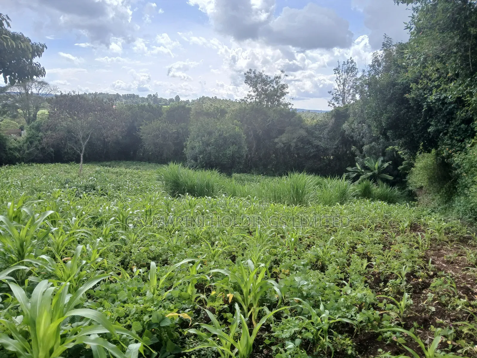 Olkeri Near Karen 3/4 Acre Prime Land for Sale