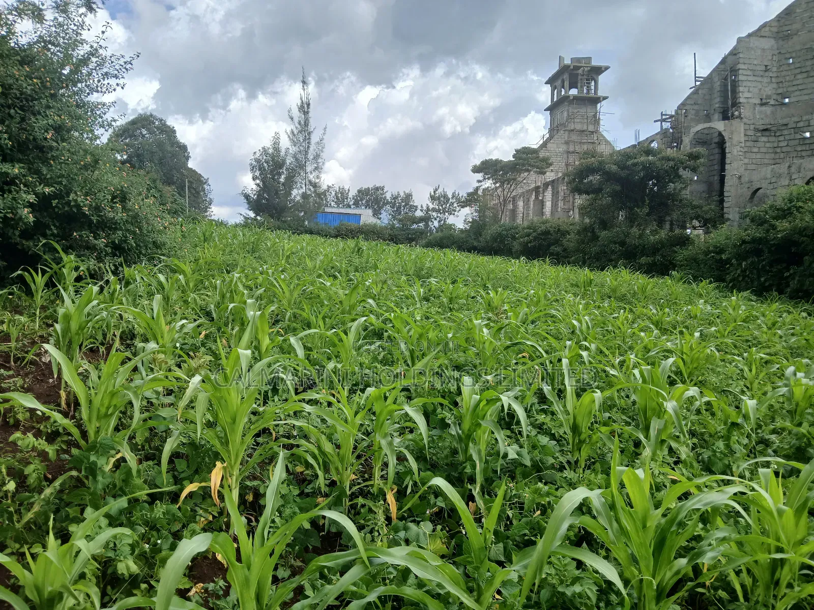 Olkeri Near Karen 3/4 Acre Prime Land for Sale