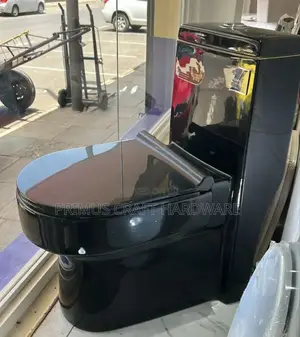 Toilet Seat Premium Black