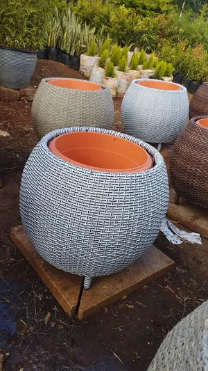 Rattan Vases for Flowers and Plants