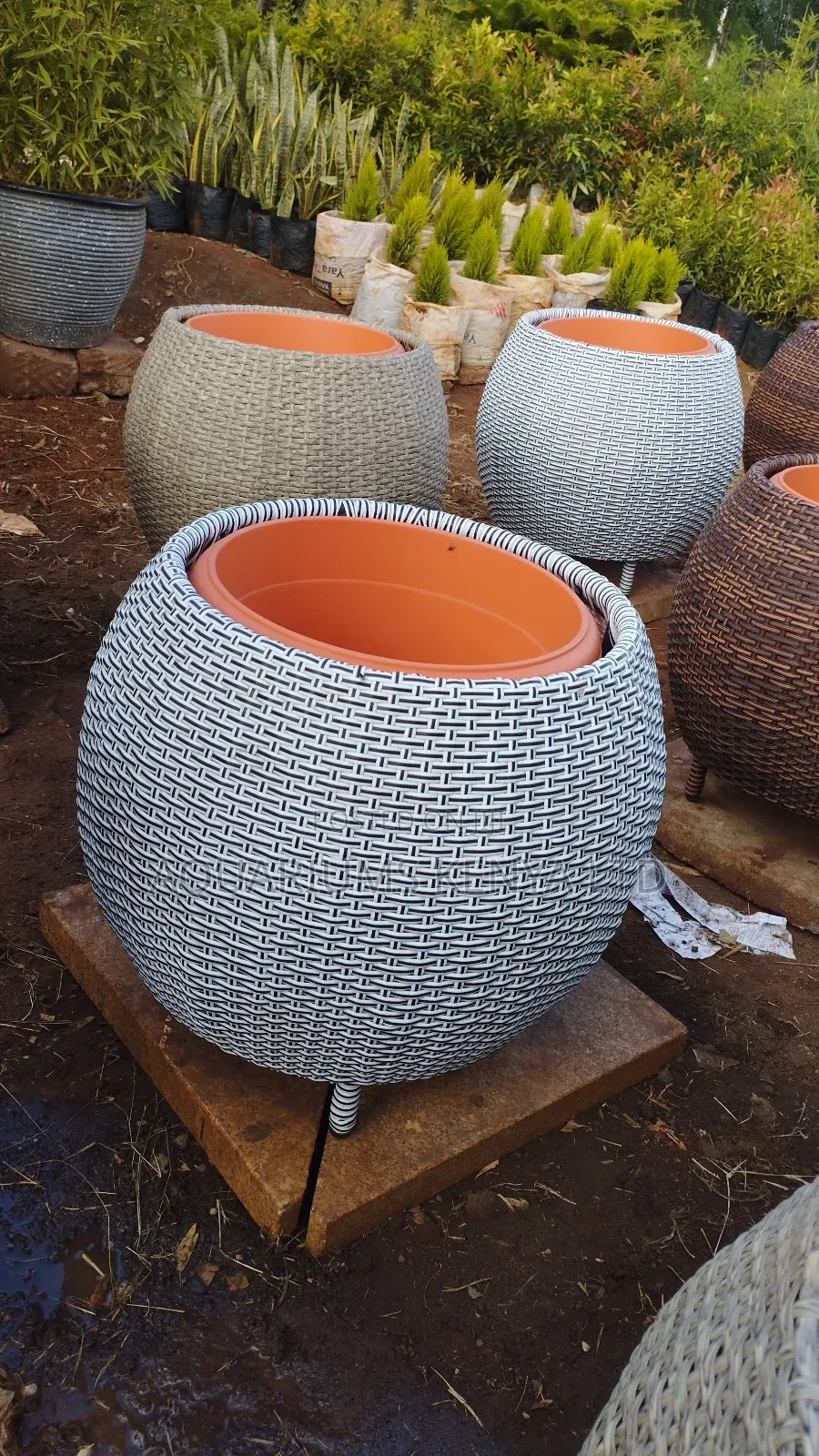 Rattan Vases for Flowers and Plants