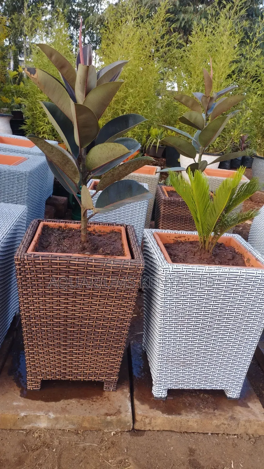 Outdoor Rattan Flowervasesrattan
