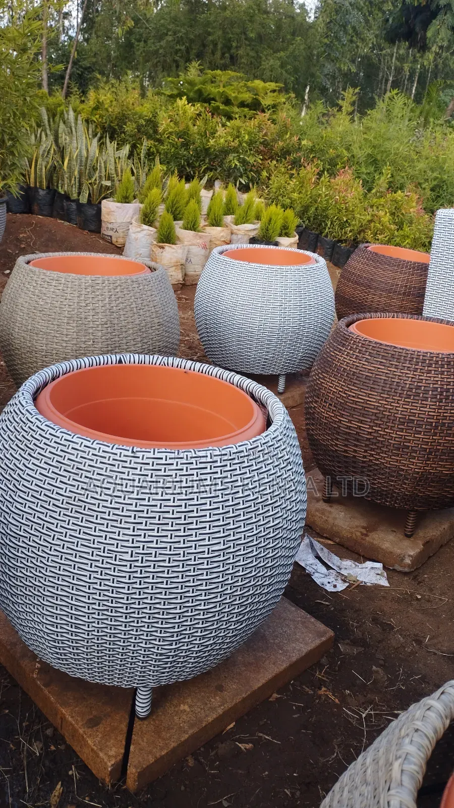 High Quality Rattan Flower Vases