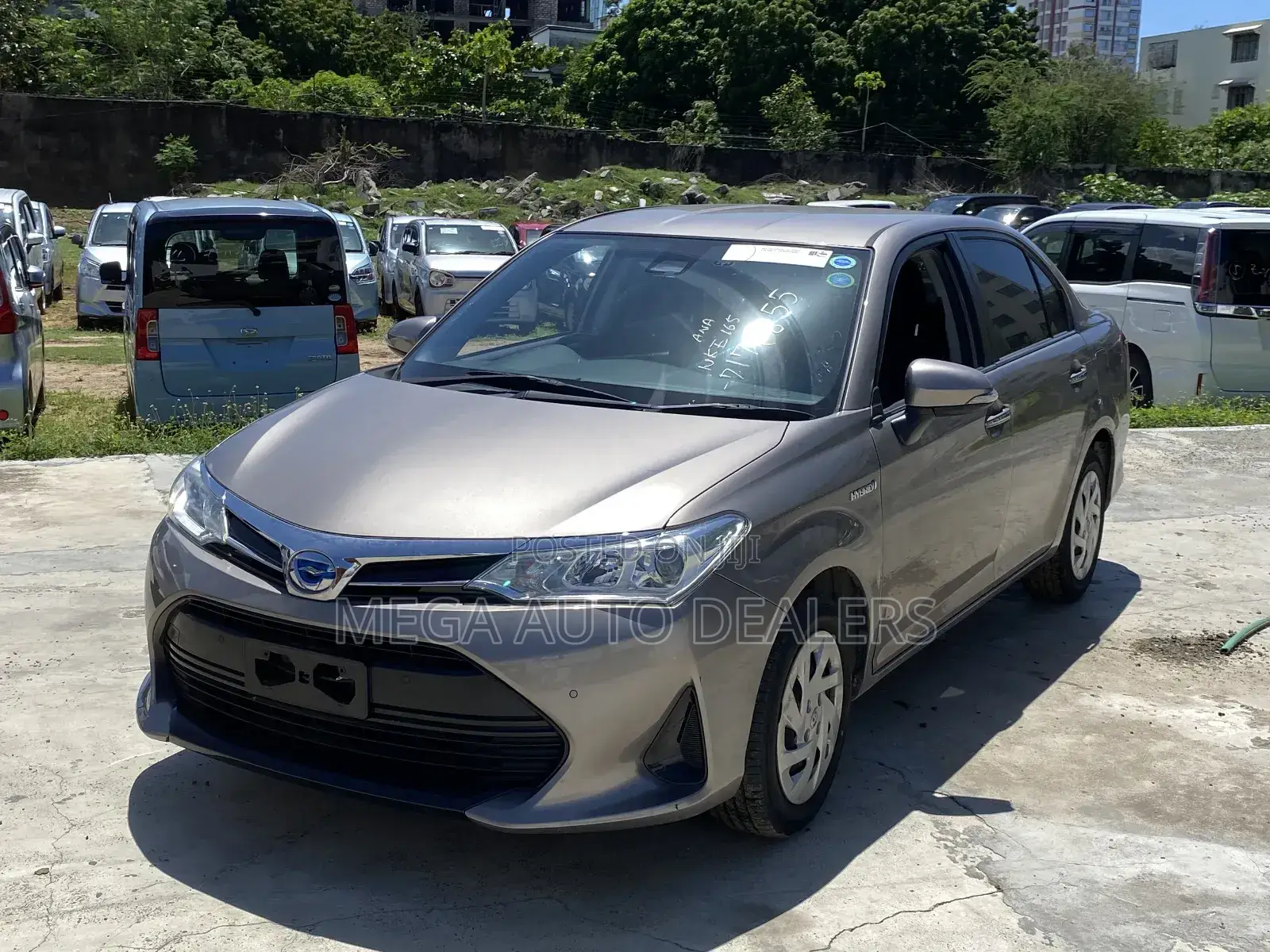 Toyota Axio 2018 Brown