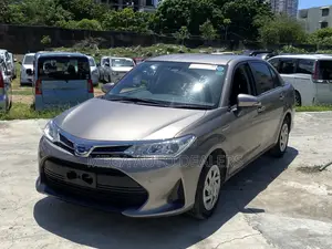 Toyota Axio 2018 Brown