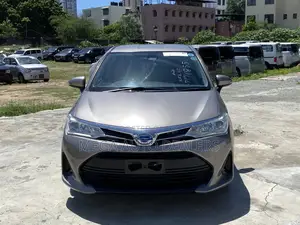 Toyota Axio 2018 Brown
