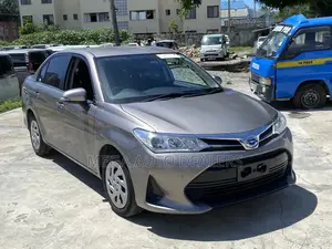 Toyota Axio 2018 Brown