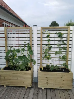 Wooden Garden Bed