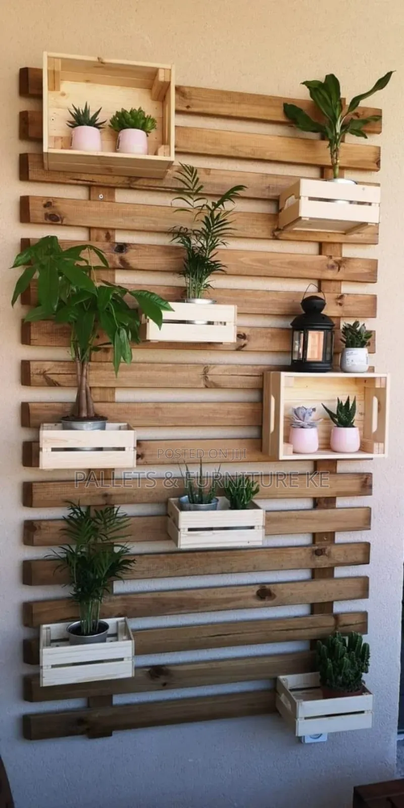 Planted Pallets Wall