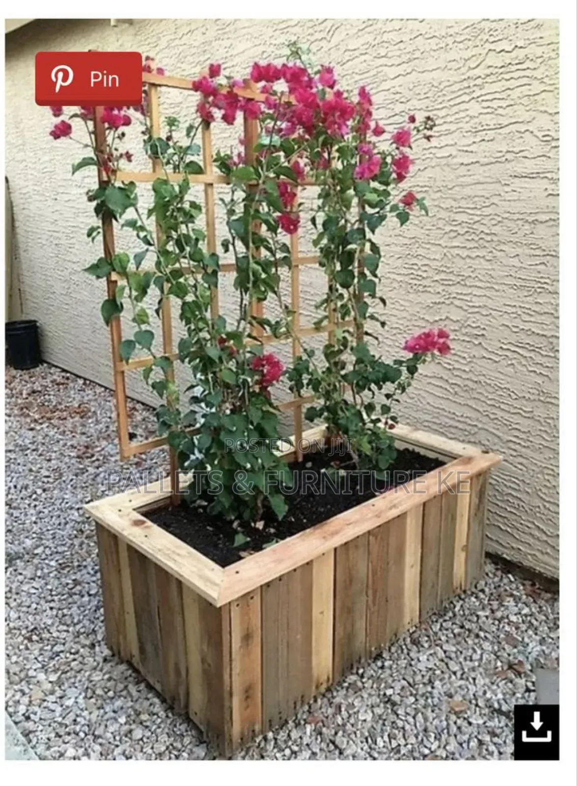Wood & Wildflowers
