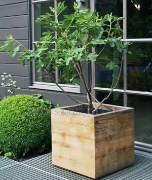 The Planted Post