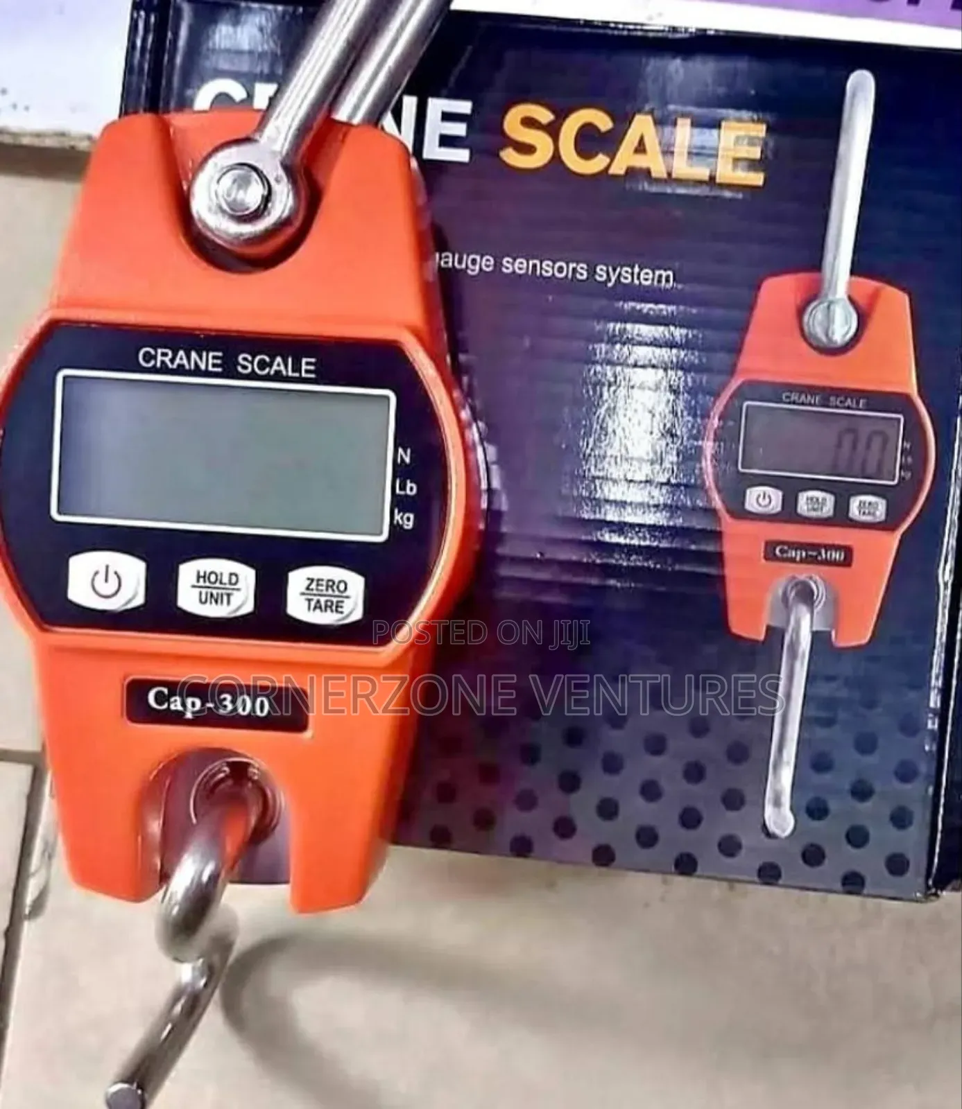 300kg Mini Crane Scale, Scale