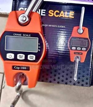 300kg Mini Crane Scale, Scale - thumbnail 2
