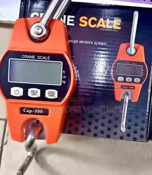 300kg Mini Crane Scale, Scale