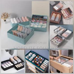 Underwear Storage Organizer - main view